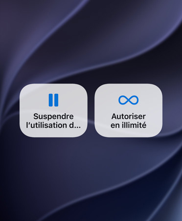 Écran affichant les boutons Suspendre l’utilisation de l’appareil et Autoriser en illimité. 